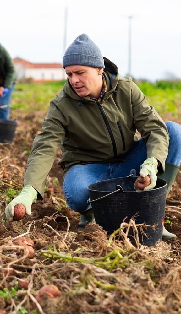 Zeitarbeit_Regensburg
